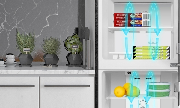 T220FA Tủ lạnh Aqua: Giá tốt 5/2024, tiết kiệm điện, trả góp 0%